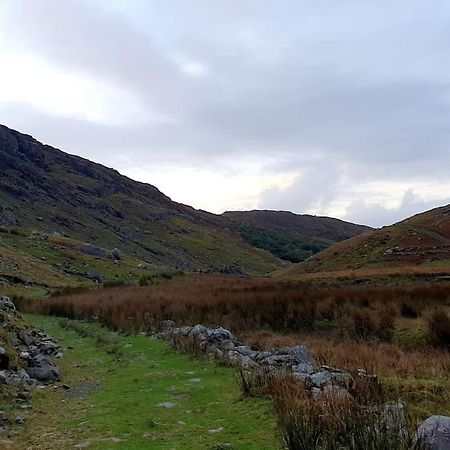 Secluded Cottage Nestled In The Beara Peninsula Killarney Exteriér fotografie