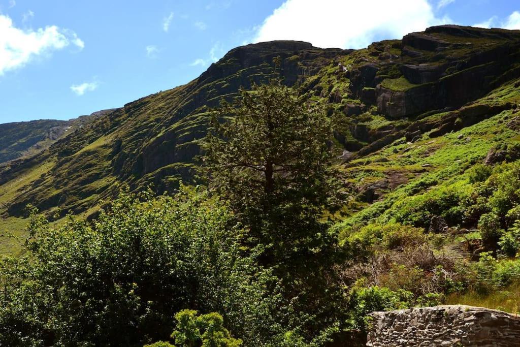 Secluded Cottage Nestled In The Beara Peninsula Killarney Exteriér fotografie